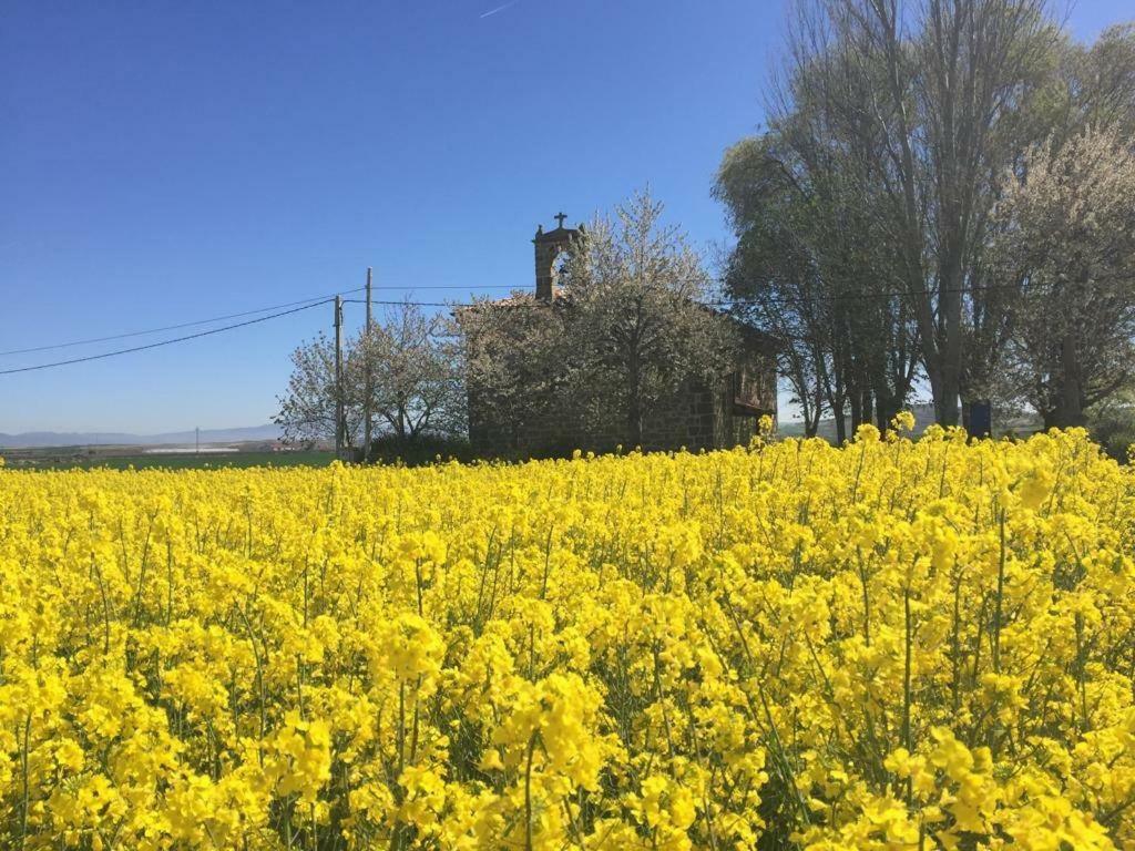 Apartamentos Turisticos Leiva -La Rioja ภายนอก รูปภาพ